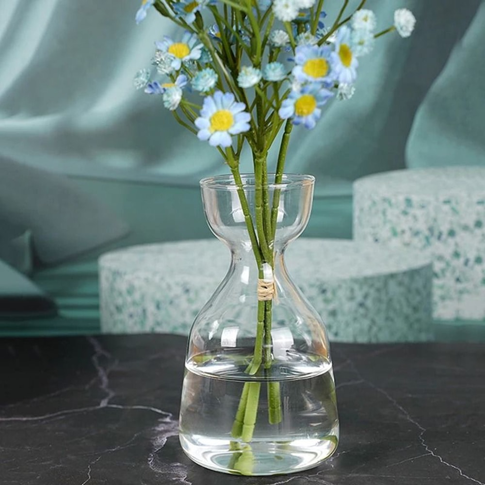 Avocado Seed Starter Transparent Glass Vase 2