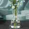 Avocado Seed Starter Transparent Glass Vase 2