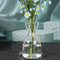 Avocado Seed Starter Transparent Glass Vase 2