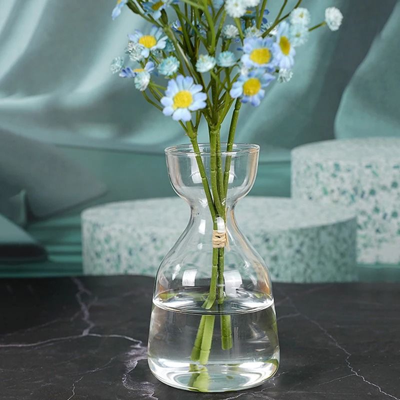 Avocado Seed Starter Transparent Glass Vase 2