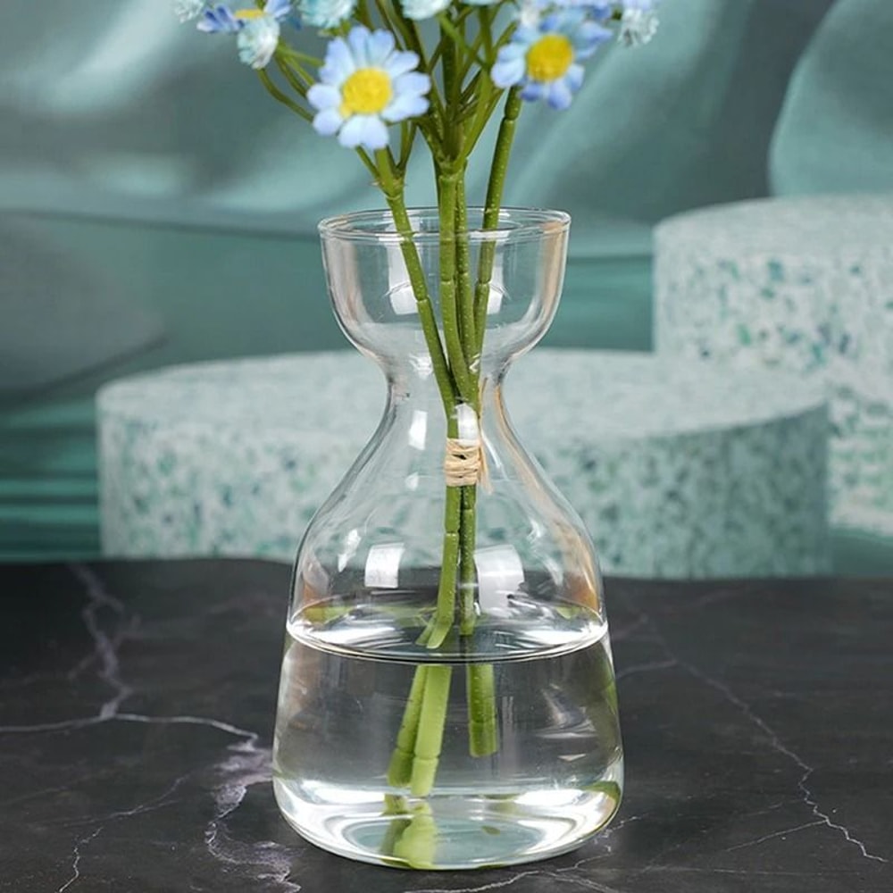 Avocado Seed Starter Transparent Glass Vase 3