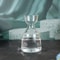 Avocado Seed Starter Transparent Glass Vase 4
