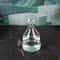Avocado Seed Starter Transparent Glass Vase 5