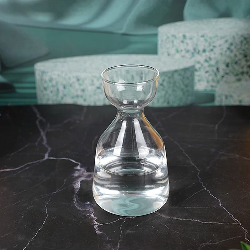 Avocado Seed Starter Transparent Glass Vase 5