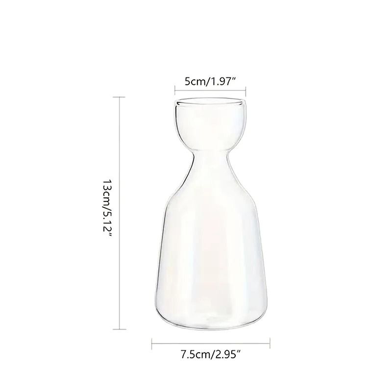 Avocado Seed Starter Transparent Glass Vase 6