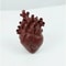 Anatomical HeartShaped Creative Sculpture Vase 5