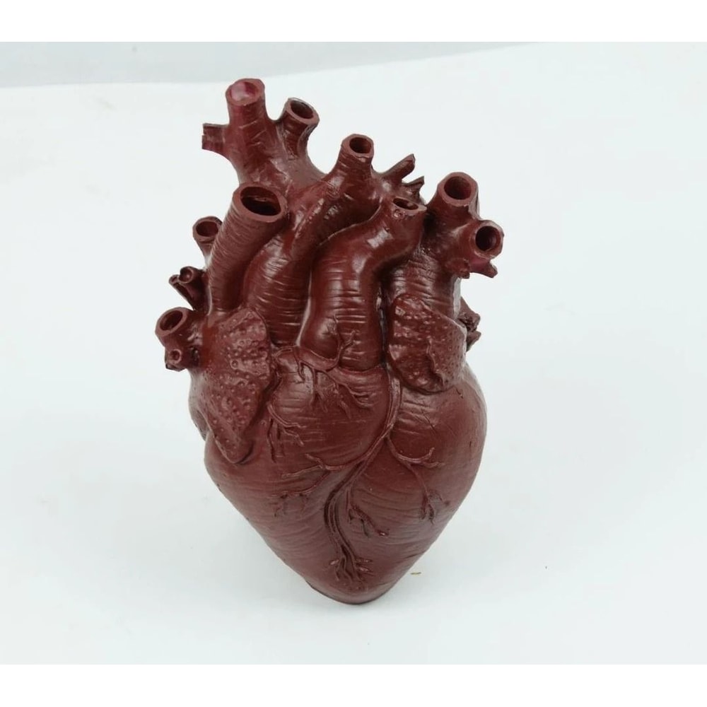 Anatomical HeartShaped Creative Sculpture Vase 8