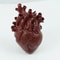 Anatomical HeartShaped Creative Sculpture Vase 8