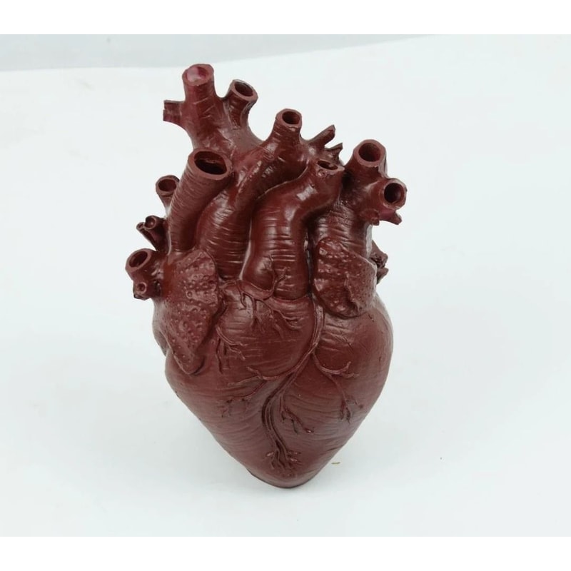 Anatomical HeartShaped Creative Sculpture Vase 8