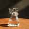 Angelic Glass Hydroponic Floral Vase 2