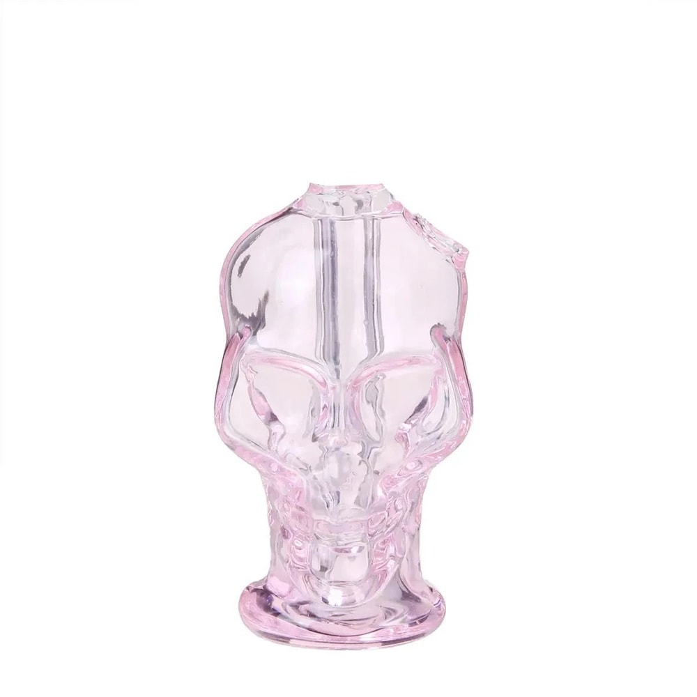 Portable Glass Skull Themed Home Decorating Vase 9