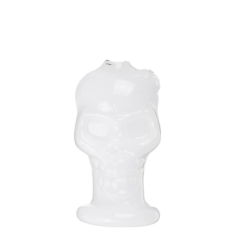 Portable Glass Skull Themed Home Decorating Vase 5
