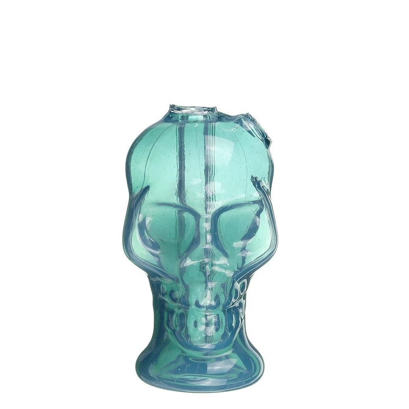 Portable Glass Skull Themed Home Decorating Vase 6