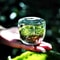 Micro Landscape Moss Glass Terrarium Bottles 1