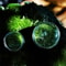 Micro Landscape Moss Glass Terrarium Bottles 5