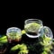 Micro Landscape Moss Glass Terrarium Bottles 6