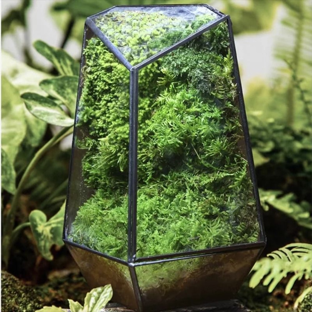 Quartz Shape Micro Landscape Glass Terrarium 0