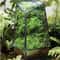Quartz Shape Micro Landscape Glass Terrarium 0