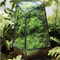 Quartz Shape Micro Landscape Glass Terrarium 0