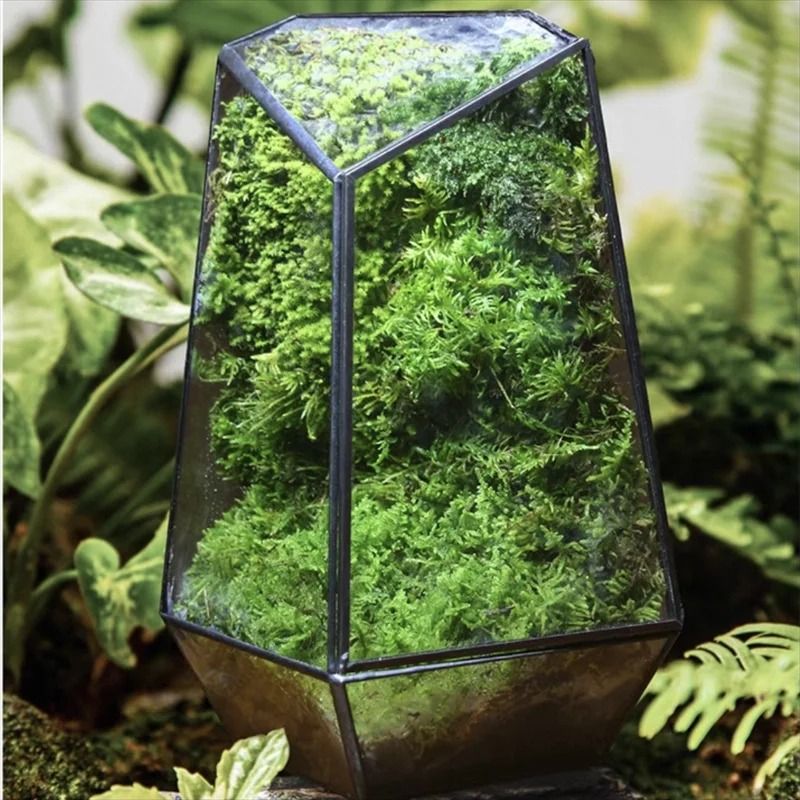 Quartz Shape Micro Landscape Glass Terrarium 0