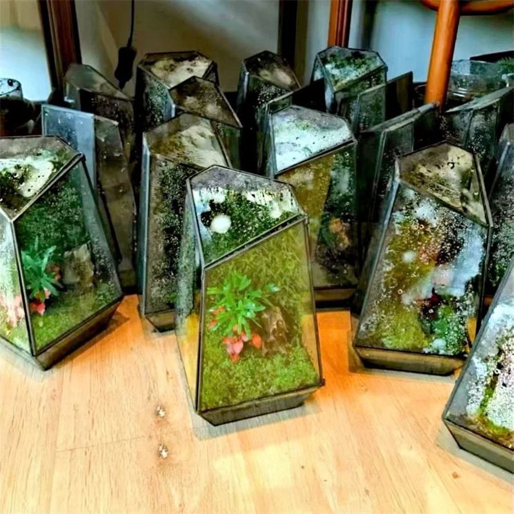 Quartz Shape Micro Landscape Glass Terrarium 5