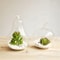 Apple Pear Fruit Planter Tabletop Vase 1