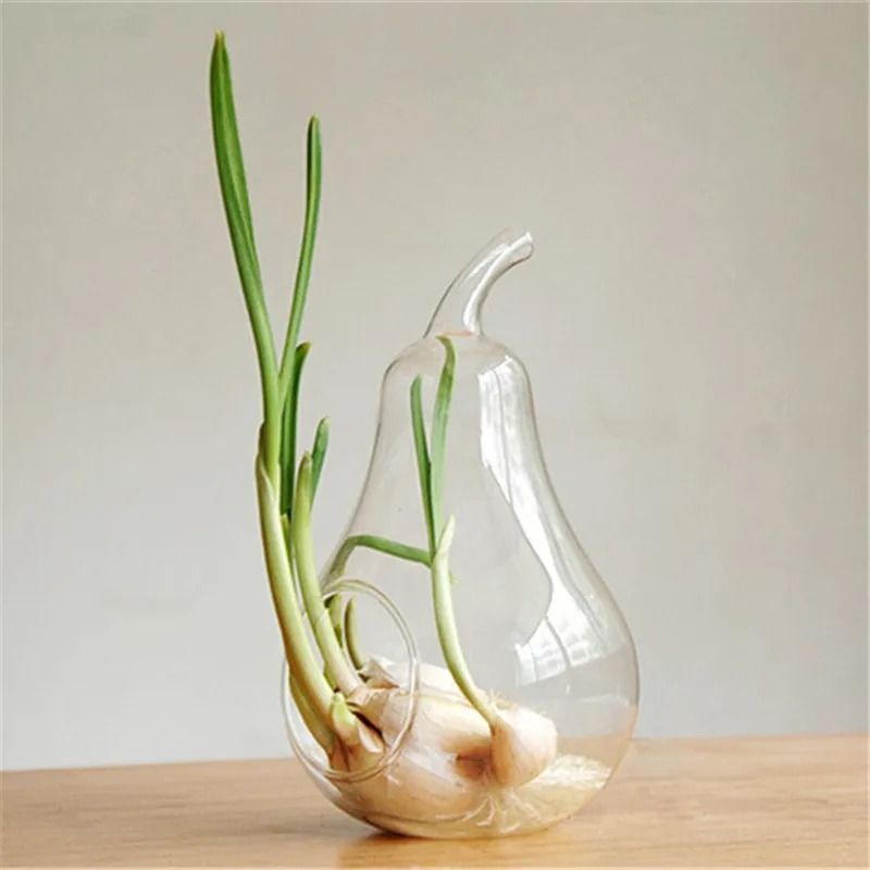 Apple Pear Fruit Planter Tabletop Vase 2