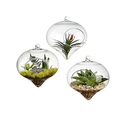 terrarium glass ball hanging flower vase