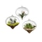 Terrarium Glass Ball Hanging Flower Vase 0