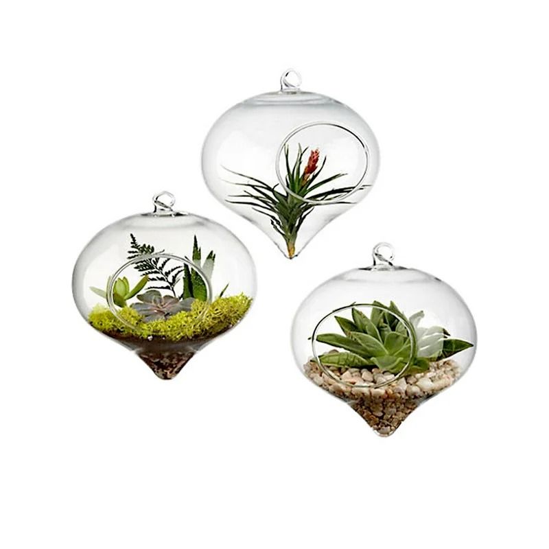 Terrarium Glass Ball Hanging Flower Vase 0