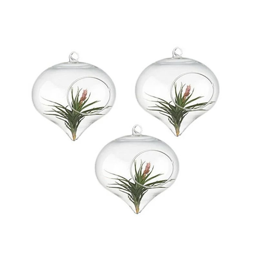 Terrarium Glass Ball Hanging Flower Vase 3