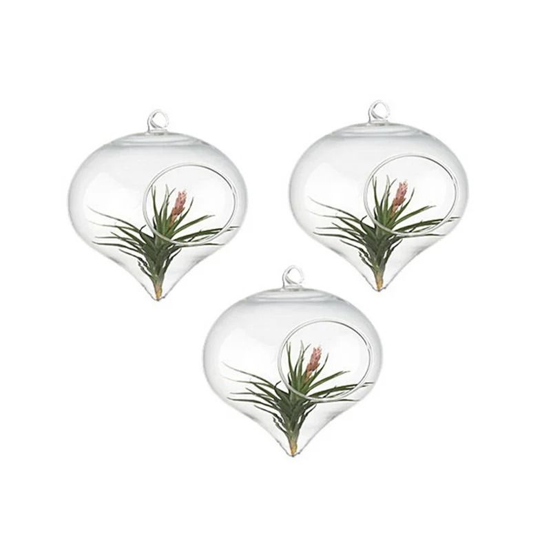 Terrarium Glass Ball Hanging Flower Vase 3