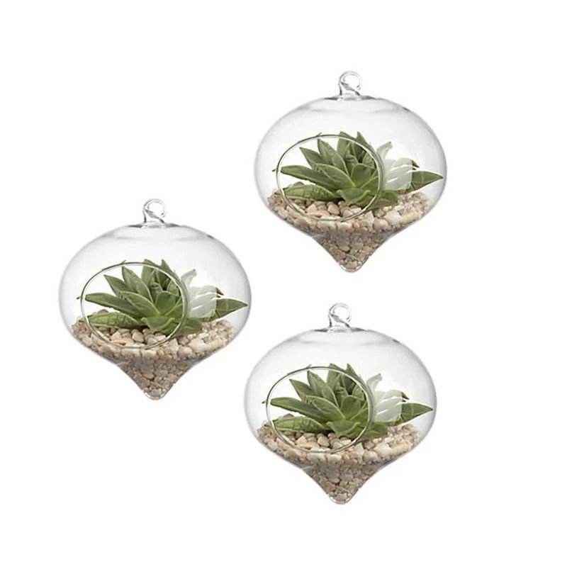 Terrarium Glass Ball Hanging Flower Vase 4