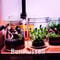 Micro Landscape Moss Cylinder Glass Bottle With Lid 4