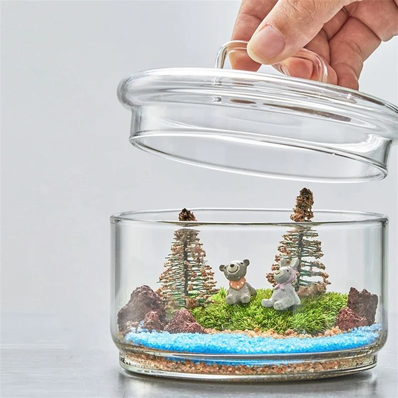 Micro Landscape Moss Plants Glass Bottle With Lid 4