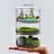 Micro Landscape Moss Plants Glass Bottle With Lid 5