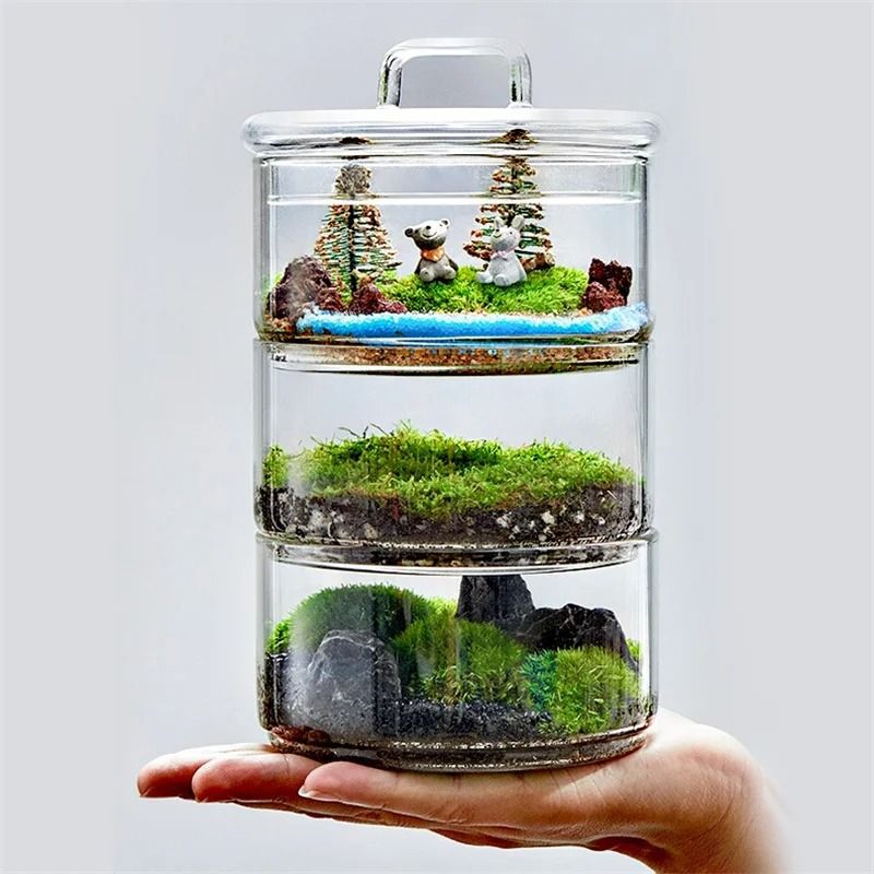 Micro Landscape Moss Plants Glass Bottle With Lid 5