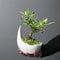 Rhinoceros Horn Ceramic Flower Pot Modern Succulent Planter Home Decoration 0