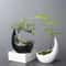 Rhinoceros Horn Ceramic Flower Pot Modern Succulent Planter Home Decoration 3