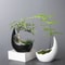 Rhinoceros Horn Ceramic Flower Pot Modern Succulent Planter Home Decoration 3