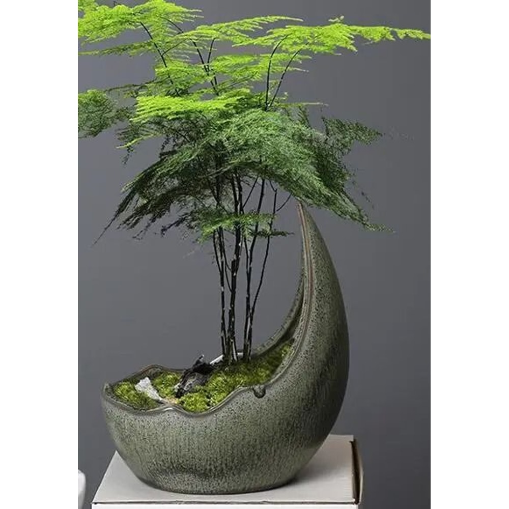 Rhinoceros Horn Ceramic Flower Pot Modern Succulent Planter Home Decoration 5