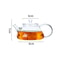 Heat Resistant Mini Glass Teapot With Filter For Brewing Flower Tea 1