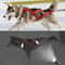 Dog Outdoor Sled And Weight Training Harness 0