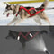 Dog Outdoor Sled And Weight Training Harness 0