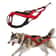 Dog Outdoor Sled And Weight Training Harness 1