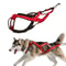 Dog Outdoor Sled And Weight Training Harness 1