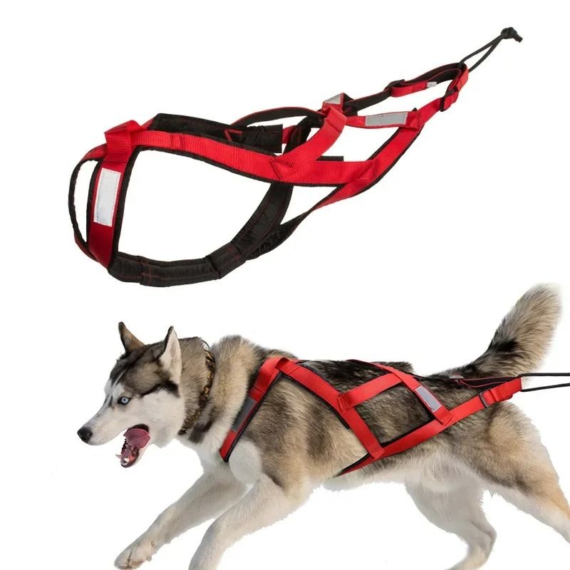 Dog Outdoor Sled And Weight Training Harness 1