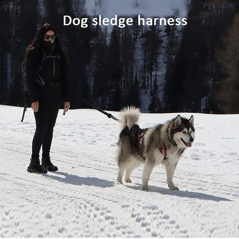 Dog Outdoor Sled And Weight Training Harness 2