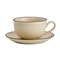 Retro Pumpkin Ceramic Cup And Saucer Set 6