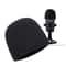 Professional HighDensity Condenser Microphone Windscreen 1
